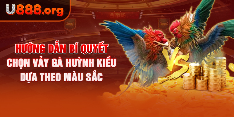 Hướng dẫn bí quyết chọn vảy gà Huỳnh Kiều dựa theo màu sắc