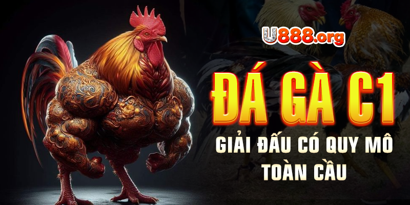 Đá gà C1 – Giải đấu có quy mô toàn cầu